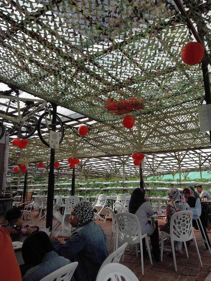 Azizi&Yati Muslim Homestay Cameron Highlands Dış mekan fotoğraf